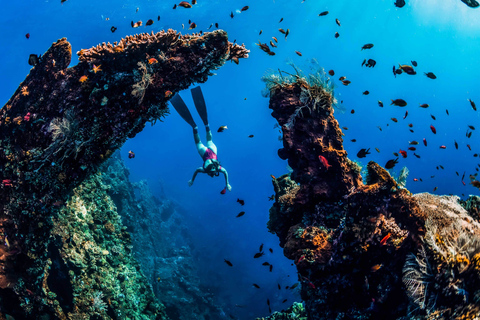 Amed: Viagem de mergulho com snorkel até o naufrágio japonêsExcursão privada de mergulho com snorkel