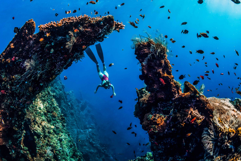 Amed: Viagem de mergulho com snorkel até o naufrágio japonêsExcursão privada de mergulho com snorkel