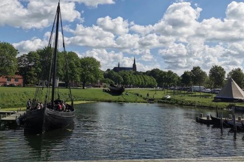 Kopenhagen: Roskilde-Tagesausflug in kleiner Gruppe