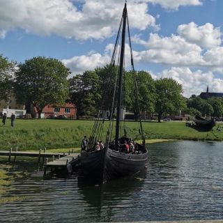 Copenaghen: gita di un giorno per piccoli gruppi a Roskilde