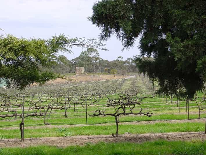 Från Adelaide Clare Valley Winery Tour GetYourGuide