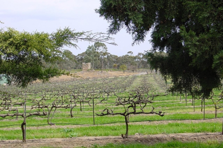 Van Adelaide: Clare Valley Winery Tour