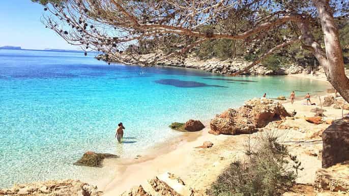 ibiza cala salada beach and paella cruise with snorkelling