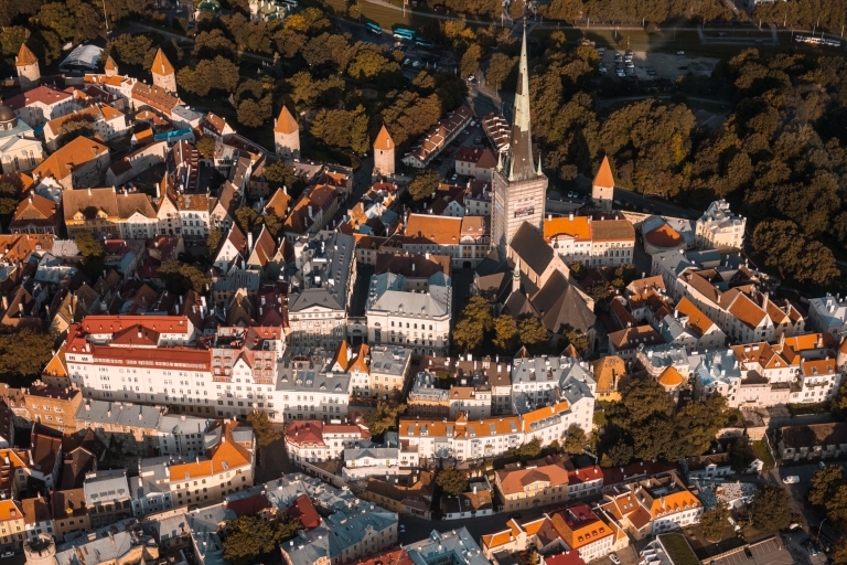 Tallinn: visite de la vieille ville et de la tourbièreOption standard