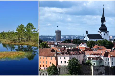 Tallinn: Tour della città vecchia con passeggiata nella palude