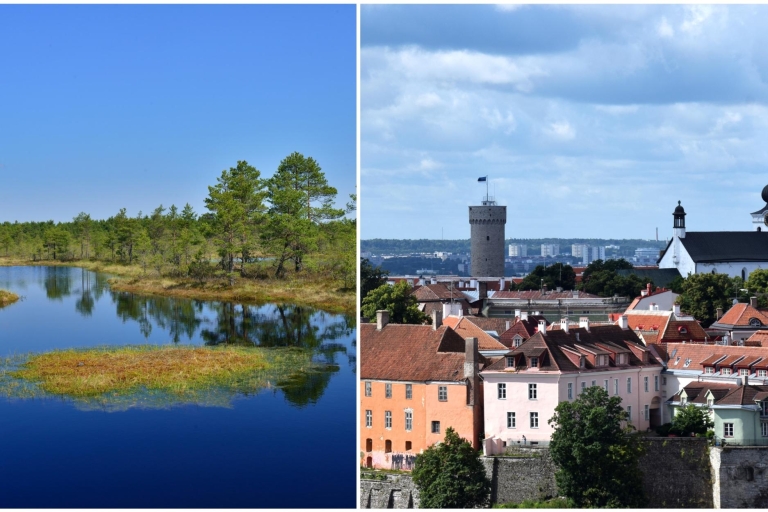 Tallinn: Old Town Tour met Bog WalkStandaard optie