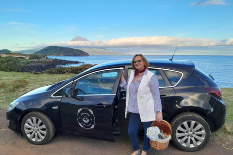 Faial Island: Personlig rundtur med Pic Nic