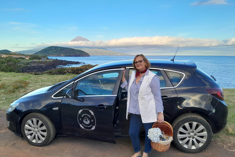 Faial Island: Personlig rundtur med Pic Nic