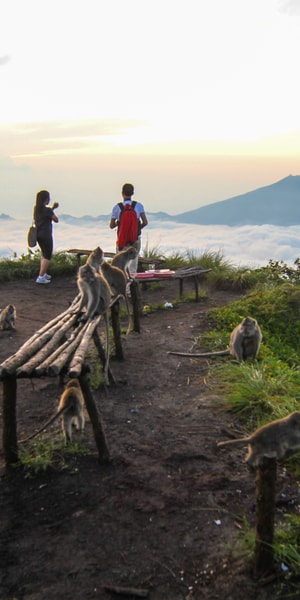 Bali: Mount Batur Sunrise Hike and Hidden Waterfall | GetYourGuide