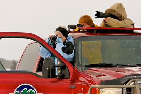 From Jackson: 4-Hour Eco Safari in Grand Teton National Park Sunset Grand Teton Wildlife Tour