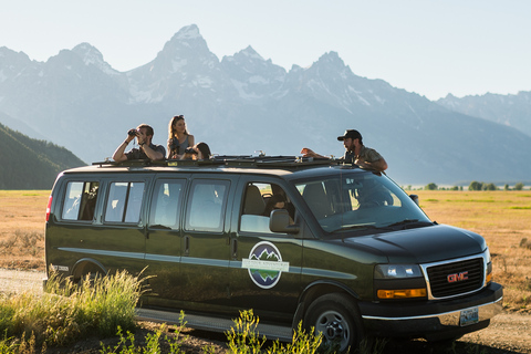 From Jackson: 4-Hour Eco Safari in Grand Teton National Park Sunset Grand Teton Wildlife Tour