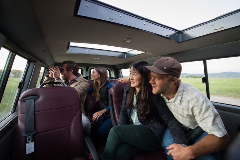 From Jackson: 4-Hour Eco Safari in Grand Teton National Park Sunset Grand Teton Wildlife Tour