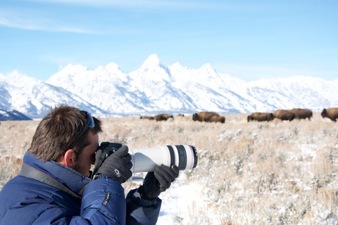 From Jackson: 4-Hour Eco Safari in Grand Teton National Park Sunset Grand Teton Wildlife Tour
