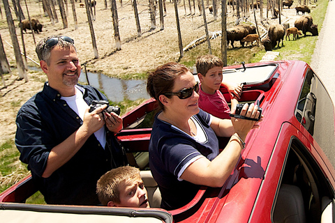From Jackson: 4-Hour Eco Safari in Grand Teton National Park Sunset Grand Teton Wildlife Tour