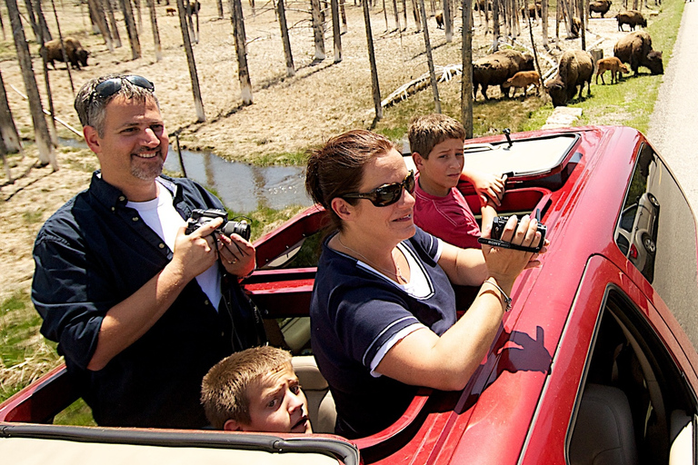 From Jackson: 4-Hour Eco Safari in Grand Teton National Park Sunset Grand Teton Wildlife Tour