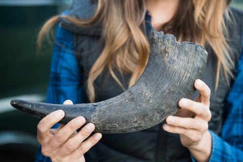 From Jackson: 4-Hour Eco Safari in Grand Teton National Park Sunset Grand Teton Wildlife Tour