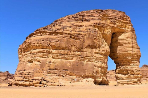 AlUla: Madain Saleh, Elephant Rock, and Jabal Ikmah Tour