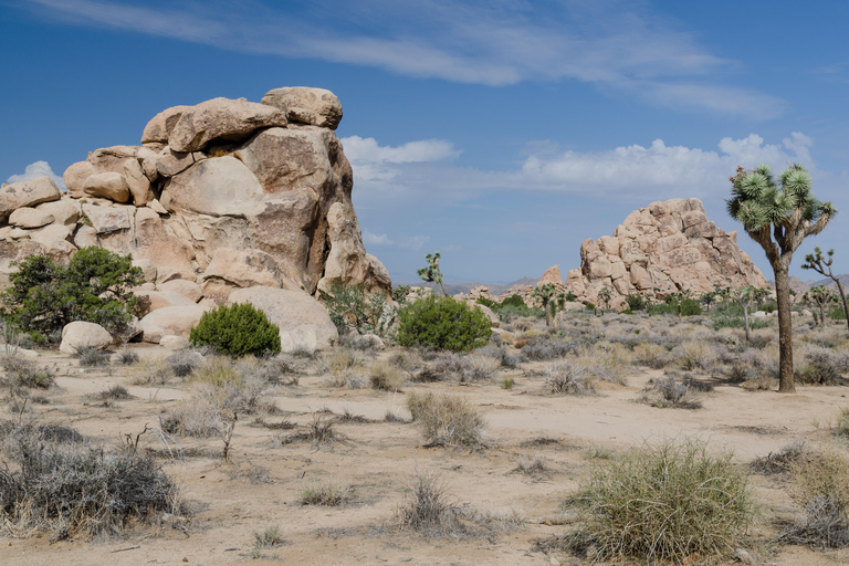 Wycieczka do parku narodowego Joshua Tree z Los Angeles