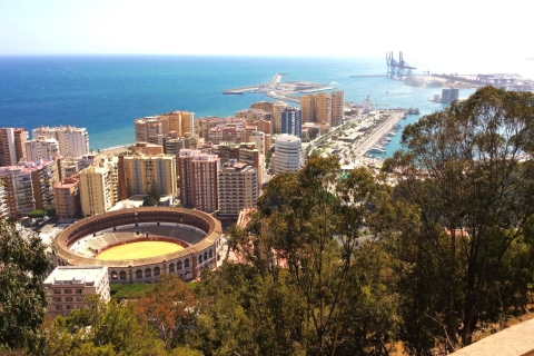 Malaga: 2-stündiger privater Rundgang