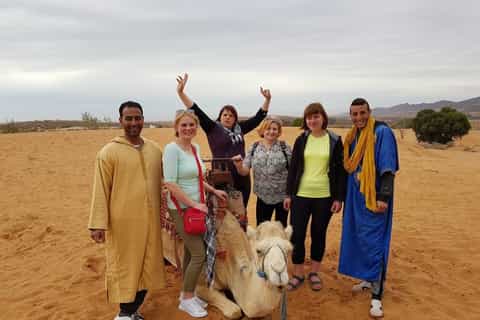 Massa Desert: Full-Day Tour with Lunch