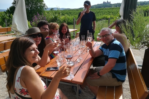 De Vienne: visite d'une demi-journée de la campagne viticole avec repasVisite d'une demi-journée de la campagne viticole avec dîner