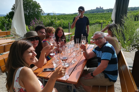 De Viena: excursão de meio dia pelo campo com refeiçãoExcursão de vinho no campo de meio dia com jantar