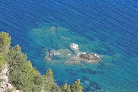Mallorca: dagtocht naar verborgen juweeltjes van Tramuntana met lunch