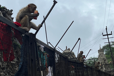 Jaipur: Village Tour with Local Activities