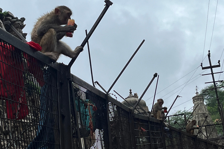 Jaipur: Village Tour with Local Activities