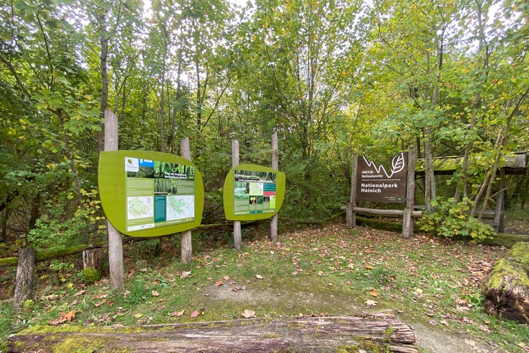 Park Narodowy Hainich: wędrówka z zagadkami w obrębie światowego dziedzictwa przyrodyPark Narodowy Hainich: wędrówka z zagadkami po światowym dziedzictwie przyrody