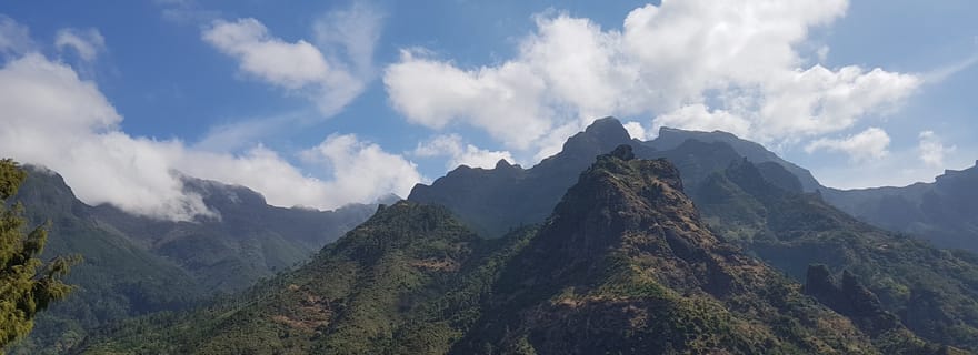 Madère : Visite privée de Laurisilva