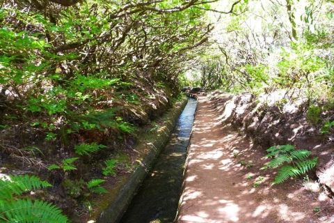 Madeira: Private 6-Kilometer Alecrim Levada Hike