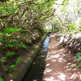 Madeira: Private 6-Kilometer Alecrim Levada Hike
