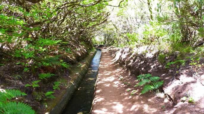 madeira private 3kilometer alecrim levada hike