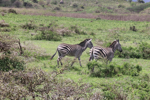 Arusha: Walking Safari in Arusha National Park