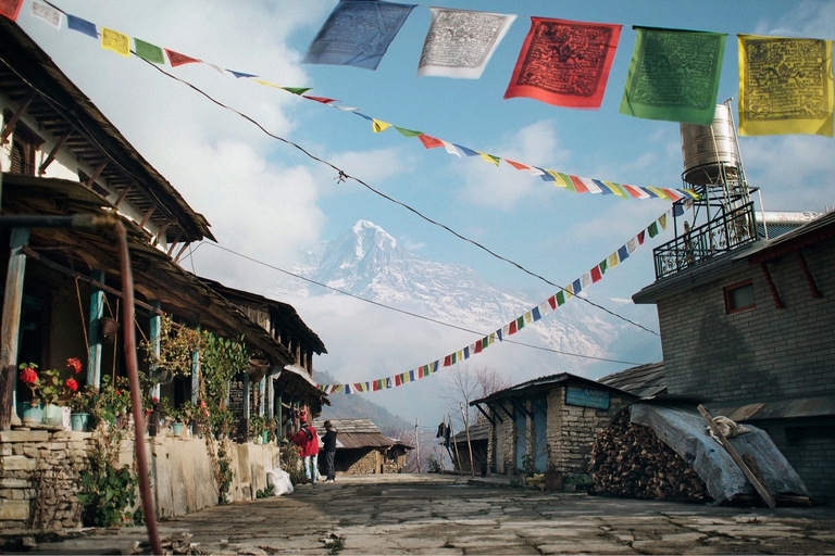 Ghorepani: Wanderung auf dem Poon HillStandard-Option