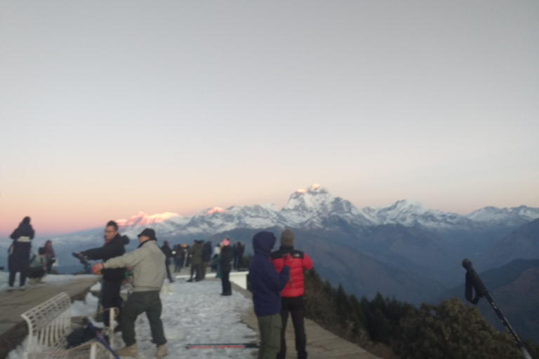 Ghorepani: Wanderung auf dem Poon HillStandard-Option