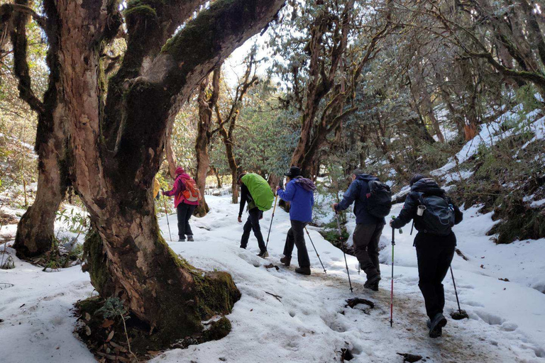 Ghorepani: Wanderung auf dem Poon HillStandard-Option