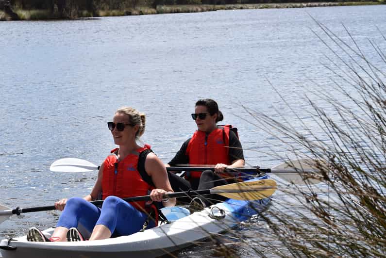 Perth Guided Kayak Tour around Canning River Wetlands GetYourGuide