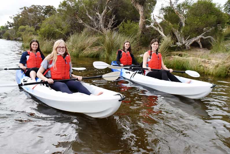 Perth Guided Kayak Tour around Canning River Wetlands GetYourGuide