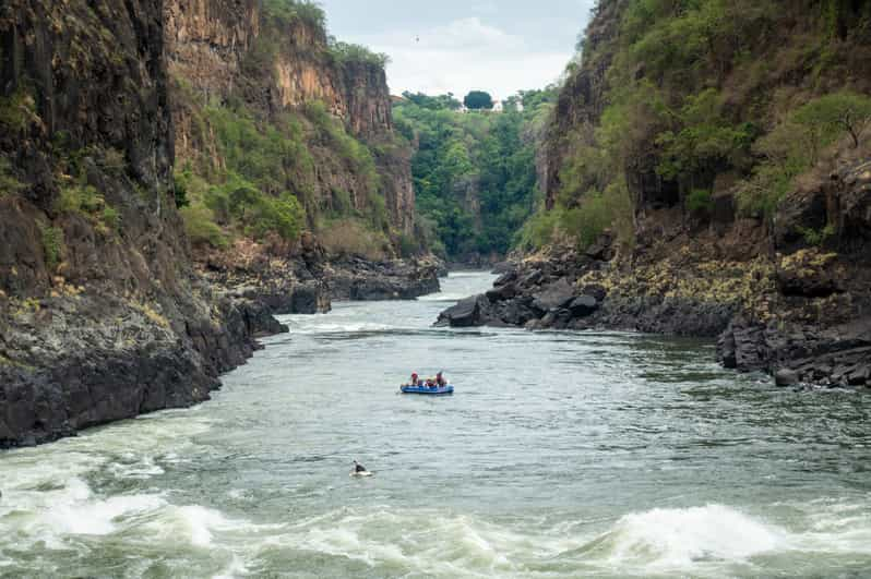 Zambezi River Full Day Whitewater Rafting Experience GetYourGuide   146 