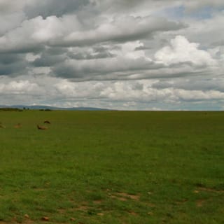 From Nairobi: 2-Day Masai Mara Safari with Flight