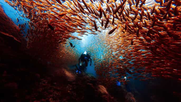koh phi phi scuba diving introductory lesson