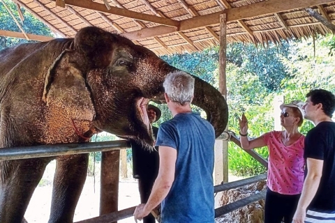 Khao Sok: guardería privada de elefantes y rafting en bambúRecogida en Khao Lak