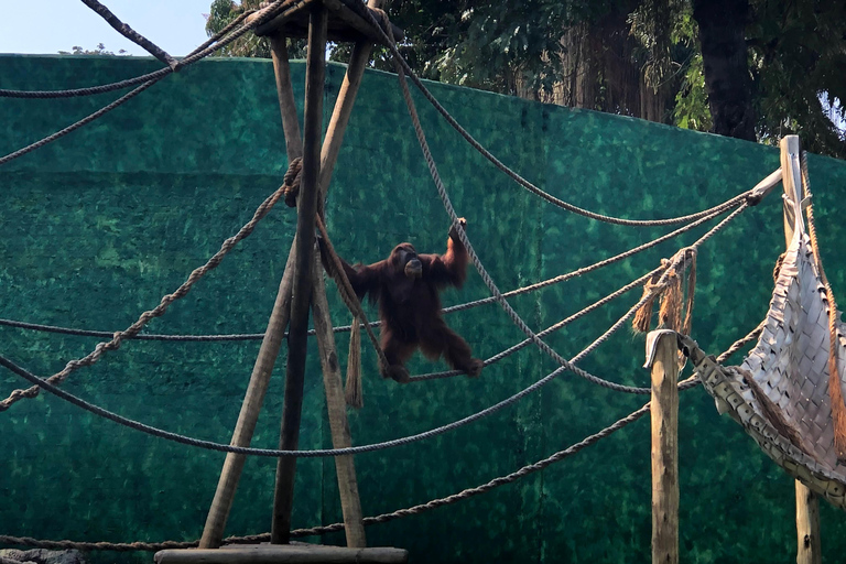 Río de Janeiro: Tour guiado por el BioParque con traslado