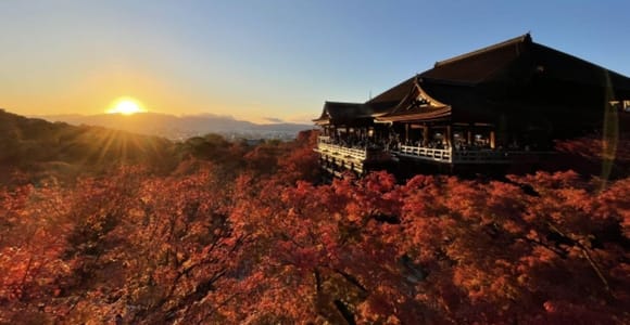 Kyoto-Tour: 3 fotogene Orte ab Nagoya mit Mittagessen
