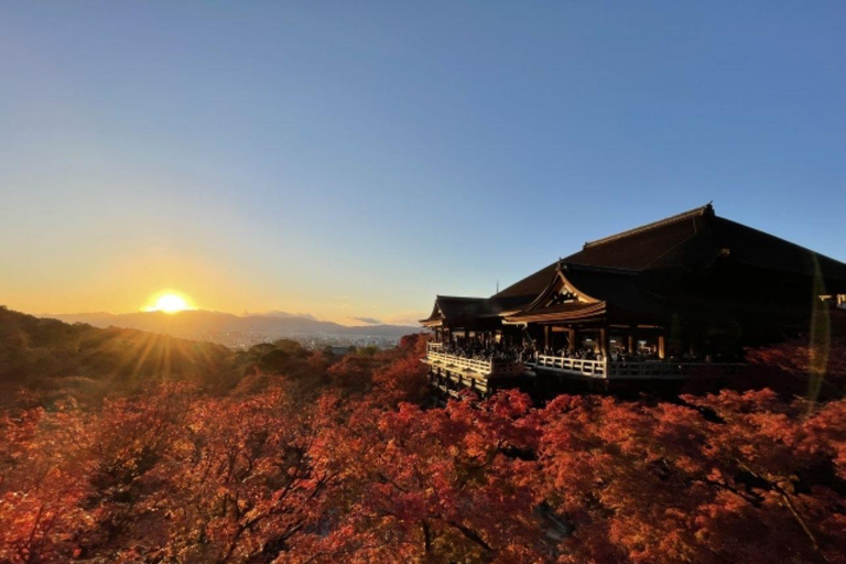 A partir de Nagoya: Excursão de um dia a Quioto com almoço de shabu-shabu de porcoDe Nagoya: Excursão de um dia a Quioto com almoço de shabu-shabu de porco