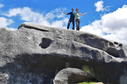 Lyttelton: Escursione a terra, Cave Stream e Castle Hill Tour