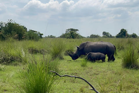 Uganda: Zziwa Rhino Tracking and Wildlife Day Adventure