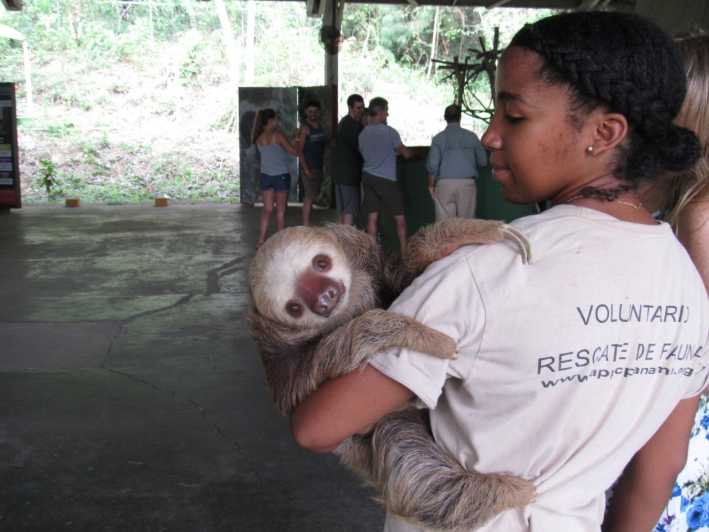From Panama City: Monkey Island and Sloth Sanctuary Tour